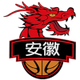 安徽皖江龙